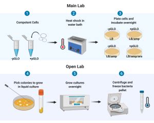 Transformation Lab [v0.52] [Transformation Lab Dev] .